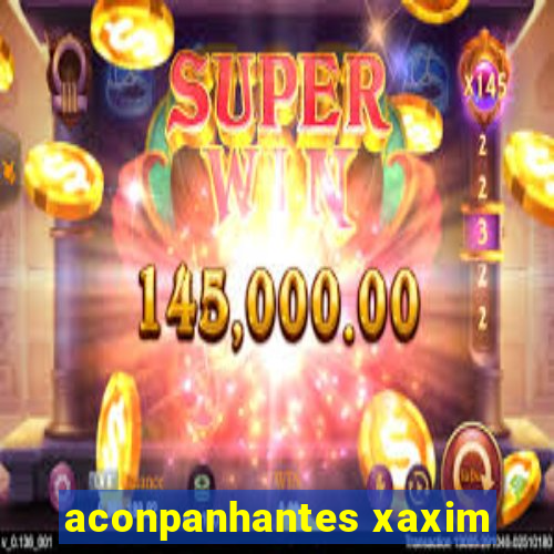 aconpanhantes xaxim